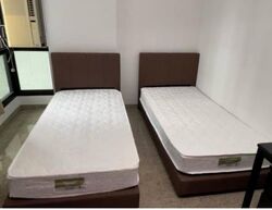 Segar Road (Bukit Panjang),  #506925531